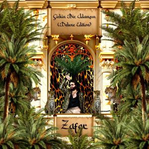 Listen to O Hiç Görmez song with lyrics from Zafer