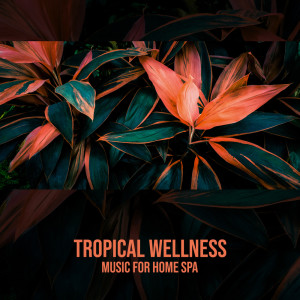 收聽Spa Massage Solution的Evening at the Sauna歌詞歌曲