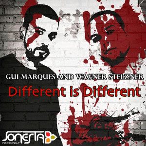 Wagner Stelzner的專輯Different is Different