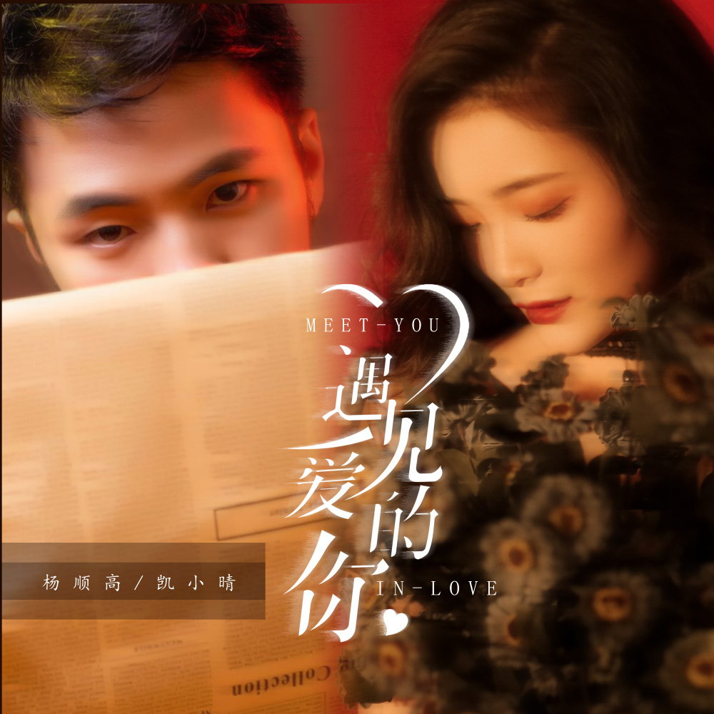 遇见爱的你 (DJ可乐版伴奏)