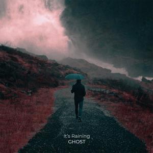 Album Its Raining from 