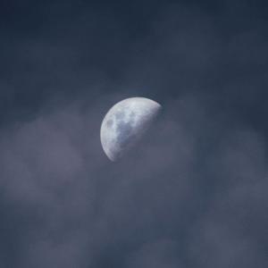 Trotter的專輯Transient Moonlight EP