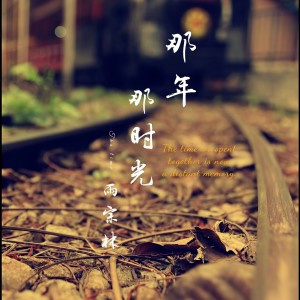 收聽雨宗林的那年那時光歌詞歌曲