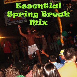 Ultimate Tribute Stars的專輯50 Hot Hits for Spring Break