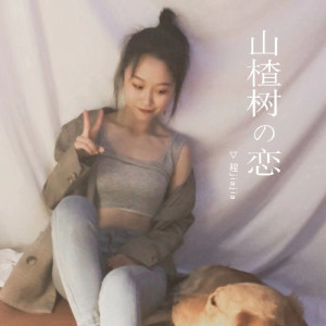 ดาวน์โหลดและฟังเพลง 山楂树の恋 (DJ版) พร้อมเนื้อเพลงจาก 程佳佳