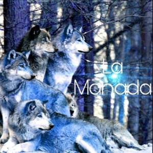 Dengarkan La Manada (Explicit) lagu dari DeMedina dengan lirik