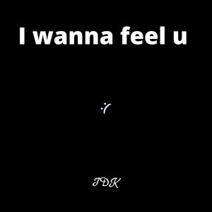 Album I Wanna Feel U from 
