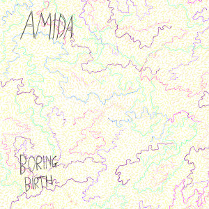 Listen to IDST (Explicit) song with lyrics from Amida