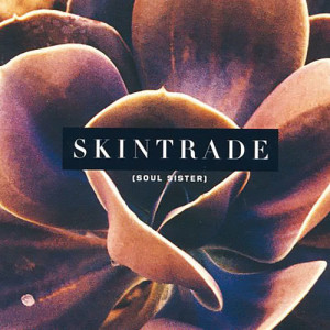 收聽Skintrade的Soul Sister (Album Version)歌詞歌曲