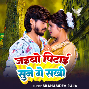 Listen to Jaibo Pitai Sune ge Sakhi song with lyrics from Brahamdev Raja