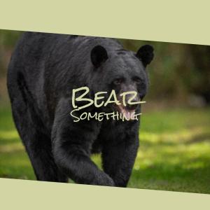 Album Bear Something from Various