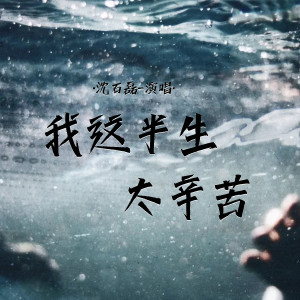 Album 我这半生太辛苦 oleh 沈石磊