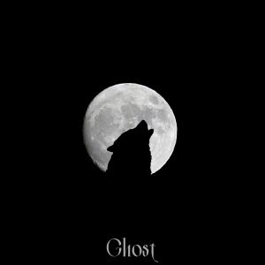 Listen to Ghost (Explicit) song with lyrics from lredflexl