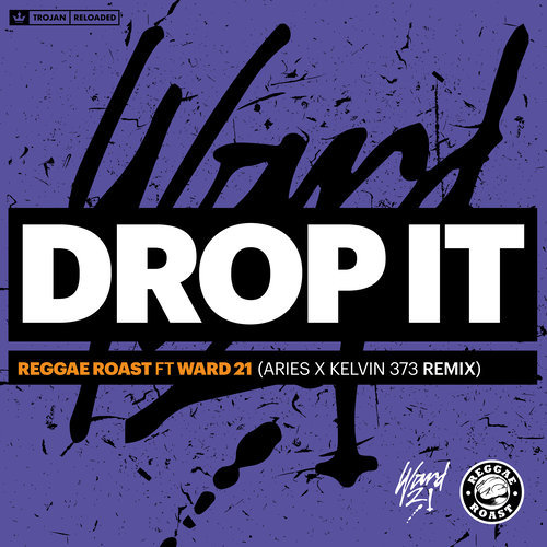 Drop It (feat. Ward 21) [Aries & Kelvin 373 Remix] (Aries & Kelvin 373 Remix)