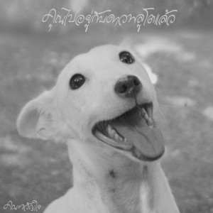 收聽คณะขวัญใจ的คุณไปอยู่กับดาวพลูโตแล้ว歌詞歌曲