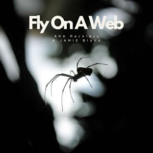 AKA Reckless的專輯Fly On A Web (Explicit)