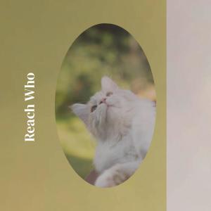 收聽Attie Liway的Slant Forth歌詞歌曲