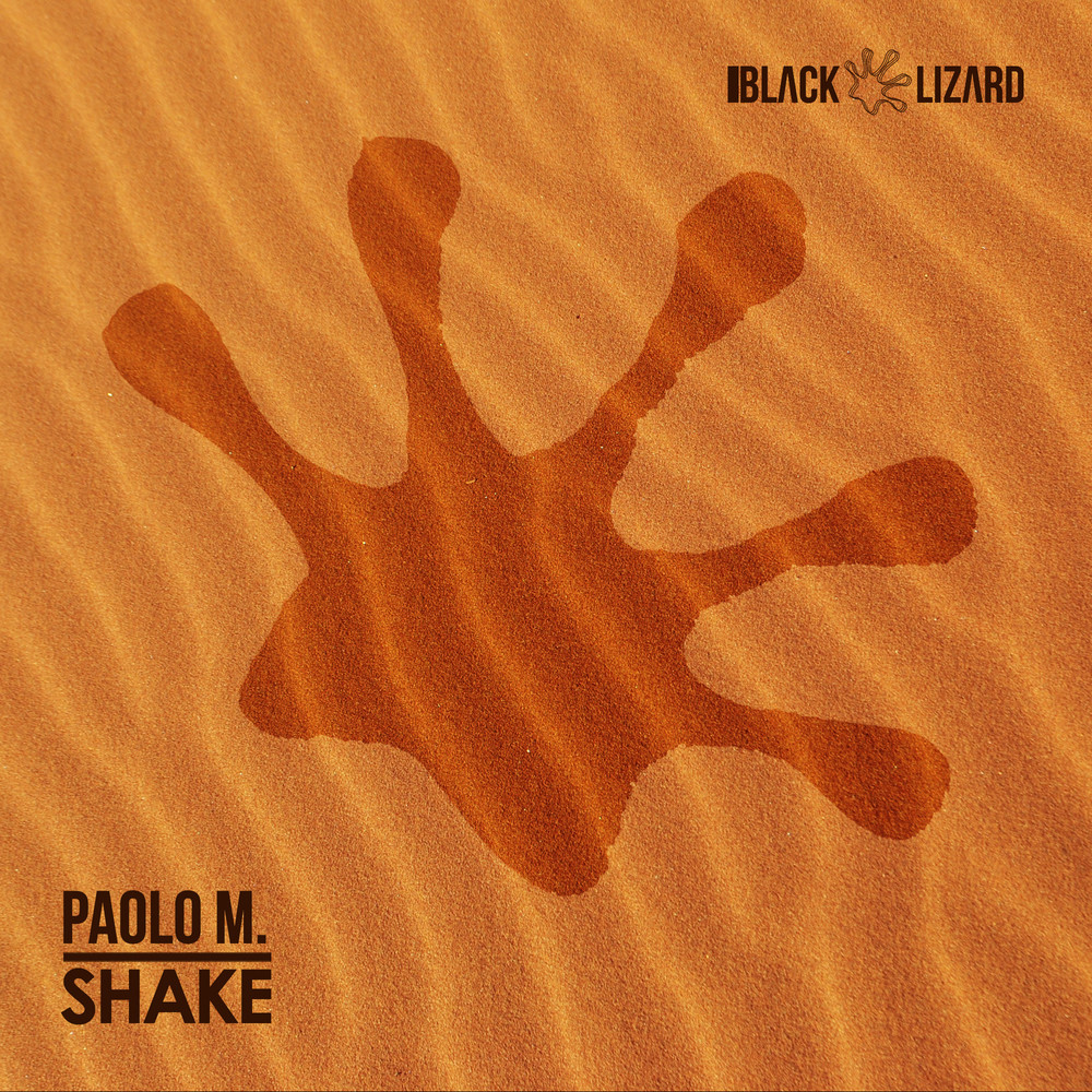 Shake (Radio Edit)