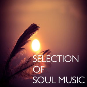 อัลบัม Selection of Soul Music ศิลปิน Various Artists