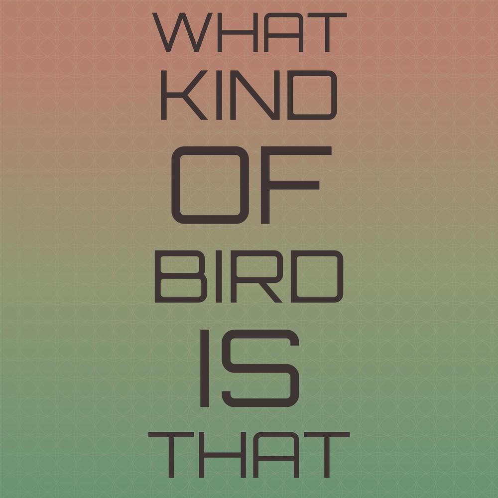 What Kind Of Bird Is That