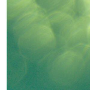 Listen to I song with lyrics from Opals