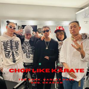 ดาวน์โหลดและฟังเพลง Chop Like Karate (feat. Dbo) (Explicit) พร้อมเนื้อเพลงจาก Ted Park