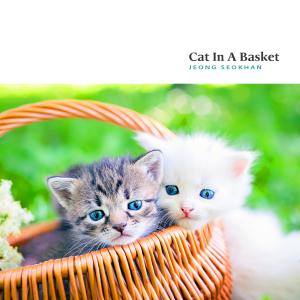 อัลบัม Cat In A Basket ศิลปิน Jeong Seokhan