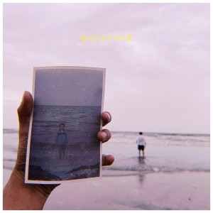 Listen to Polaroid song with lyrics from Noumad