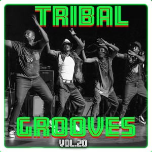 อัลบัม Tribal Grooves Vol. 20 ศิลปิน 'Umar Abdul ''Aziz Fadar Bege'