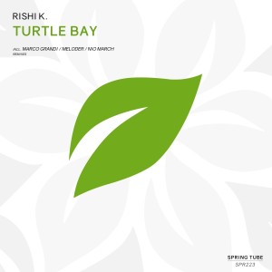 Dengarkan Turtle Bay (Marco Grandi Remix) lagu dari Rishi K. dengan lirik