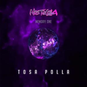 ดาวน์โหลดและฟังเพลง Tosa Polla พร้อมเนื้อเพลงจาก Michalis Karagkounis