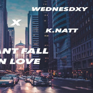 Kano的專輯Cant Fall InLove (feat. Wednesdxy, K.Natt & Skeys ) (Explicit)