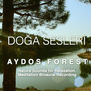 收聽Doğa Sesleri的Spring Morning歌詞歌曲