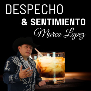 收聽Marco Lopez的Cambiaste Mi Vida歌詞歌曲