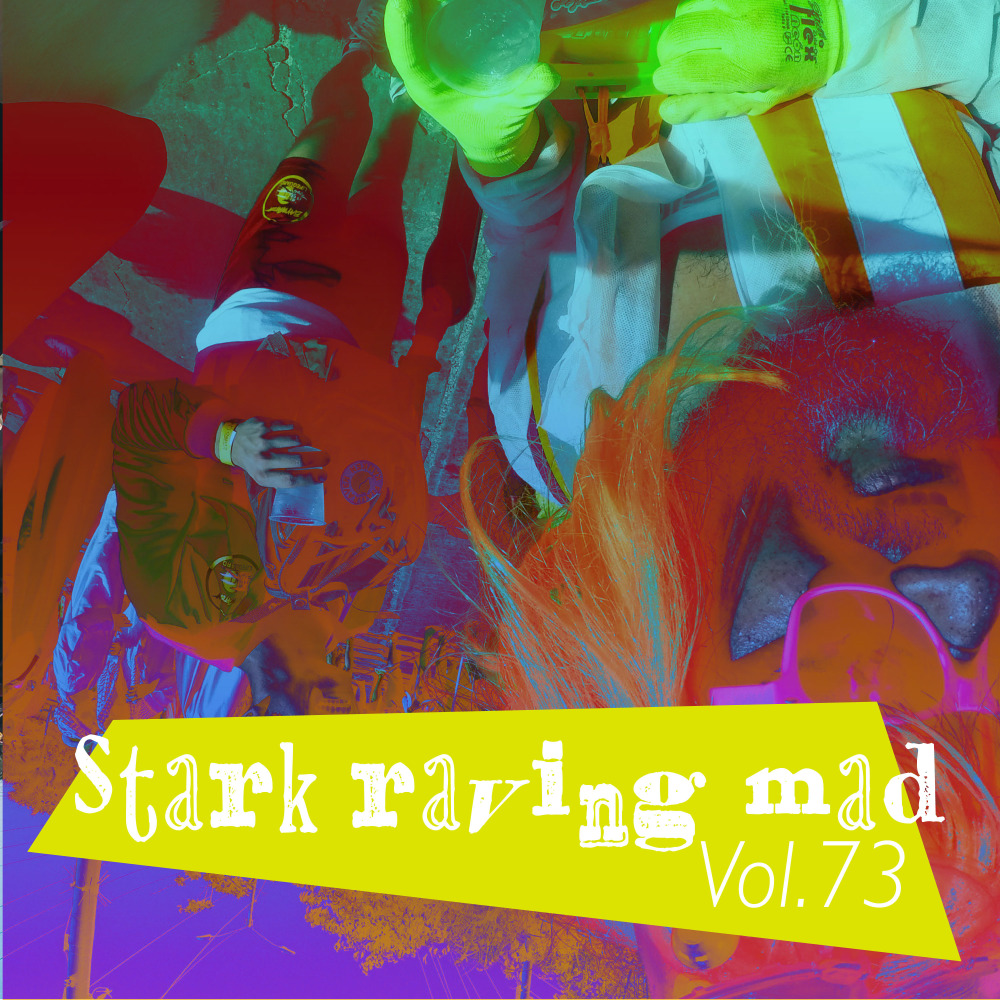 V-Style Project 1 (Bardini Hard Mix)