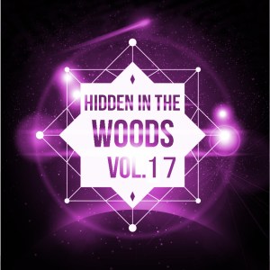 落落的专辑Hidden In The Woods Vol.17