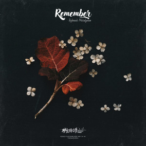 Redmask Melodyman的专辑Remember