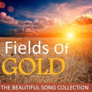 收聽The MacDonald Bros的Fields of Gold (Sunlight Mix)歌詞歌曲
