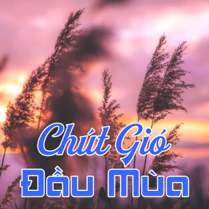 收聽Ngọc Tân的Chiều trên bến cảng歌詞歌曲