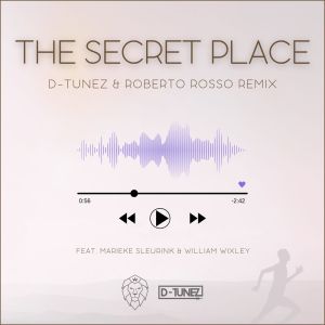 Album The Secret Place (REMIX) from D-tunez