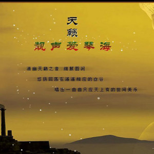 Listen to 自由飞翔 song with lyrics from 小月