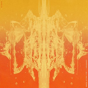 default album img