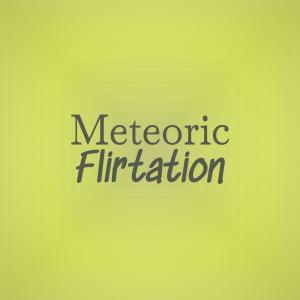 Album Meteoric Flirtation oleh Various