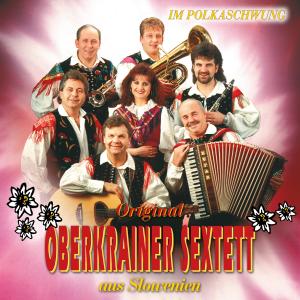 Listen to Mein bester Freund song with lyrics from Original Oberkrainer Sextett