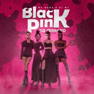 Dengarkan Blackpink do Cerrado lagu dari DJ Ws dengan lirik