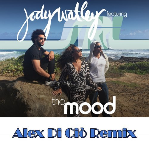 The Mood (Extended Mix)
