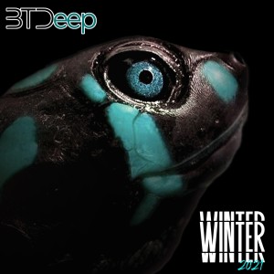 Binarium的专辑Btdeep Winter 2021
