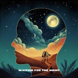 收聽Miper的Waiting For The Night歌詞歌曲