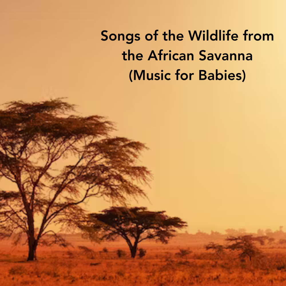 Soul of the Savannah