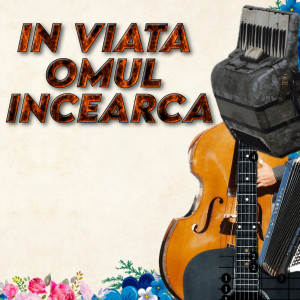 Listen to Colaj Muzica de Petrecere muzica de petrecere colaje gratis song with lyrics from LAURENTIU CRACIUN